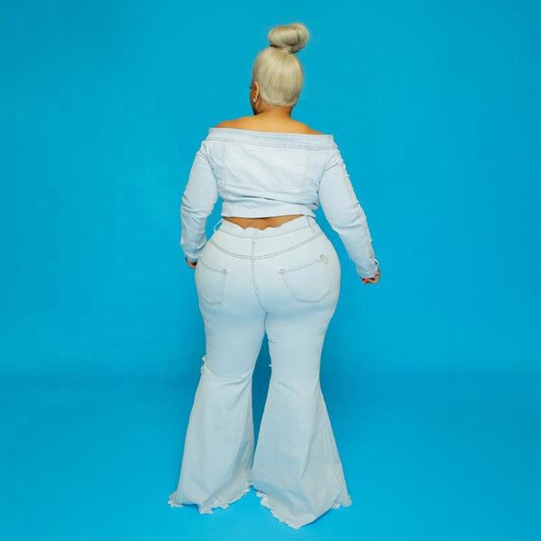 Denim Boyfriend Flare Jean Plus Size
